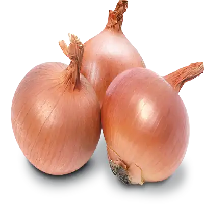 পিঁয়াজ বীজ